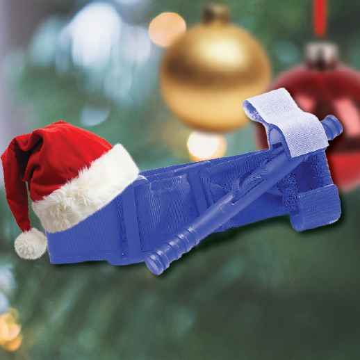 Image Nzmd December Cat Blue 1