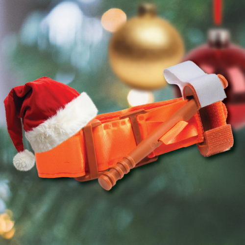 Image Nzmd December Cat Orange 1