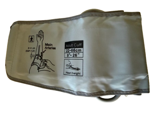 Image Img 2072 Copy Removebg Preview