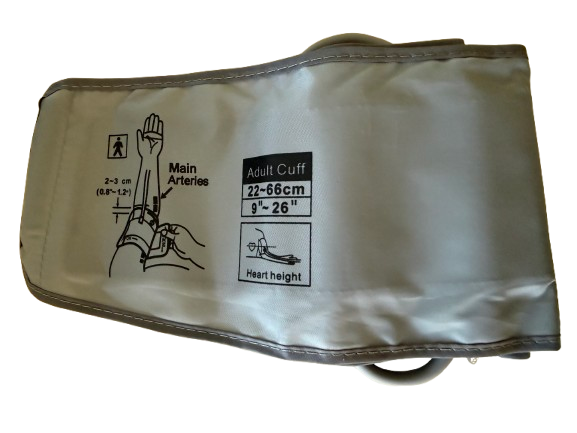 Image Img 2072 Copy Removebg Preview